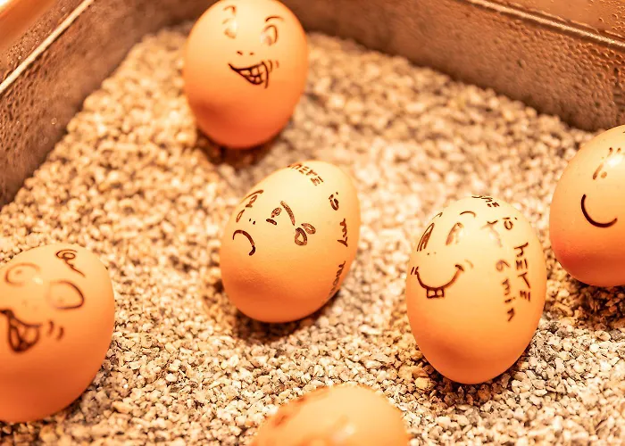 호텔 Sonnenheim 4*