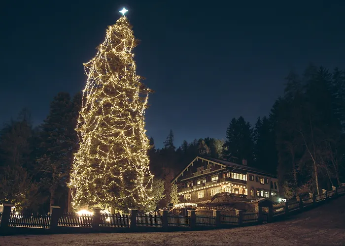 호텔 Sonnenheim 4*