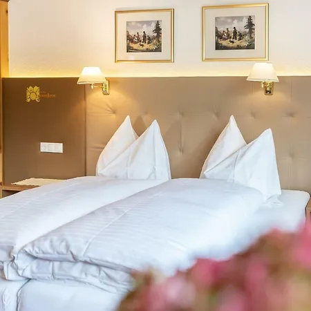 Hotell Sonnenheim 4*